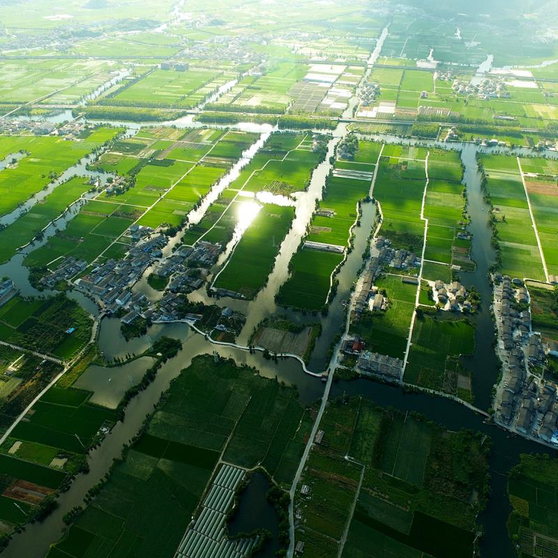 温州家庭日常吃饭的地方_温州吃饭日常家庭地方在哪里_温州吃饭日常家庭地方有哪些